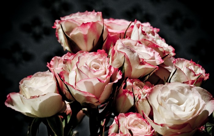 A bouquet of white and pink roses