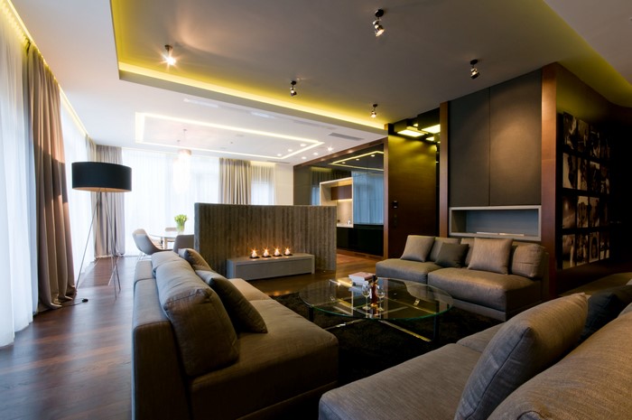 Modern Living Room with Fireplace and Sofas