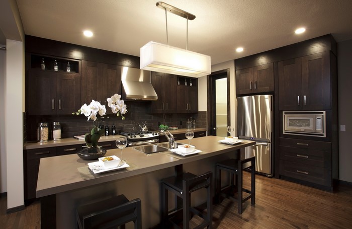 Modern dark wood kitchen with island and stainless steel appliances