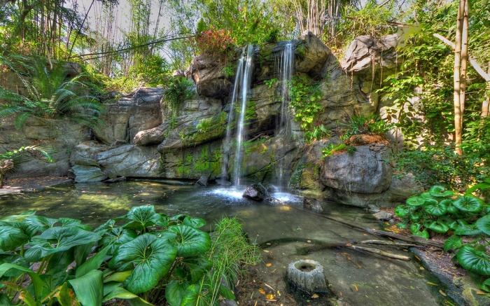 Waterfall cascading into a pond surrounded by rocks and plants