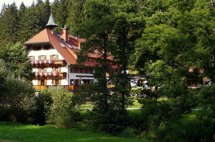 Hotel in Grafenhausen, Germany surrounded by trees
