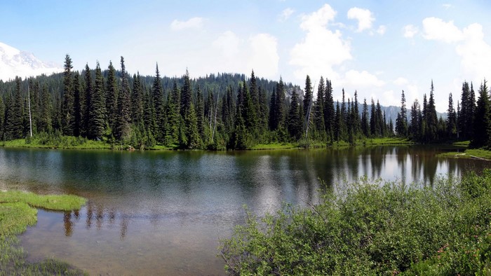 Lake with Evergreen Trees and Mountain in Washington