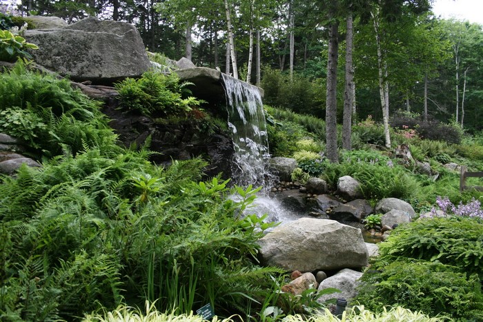 Waterfall cascading over rocks in a forest garden