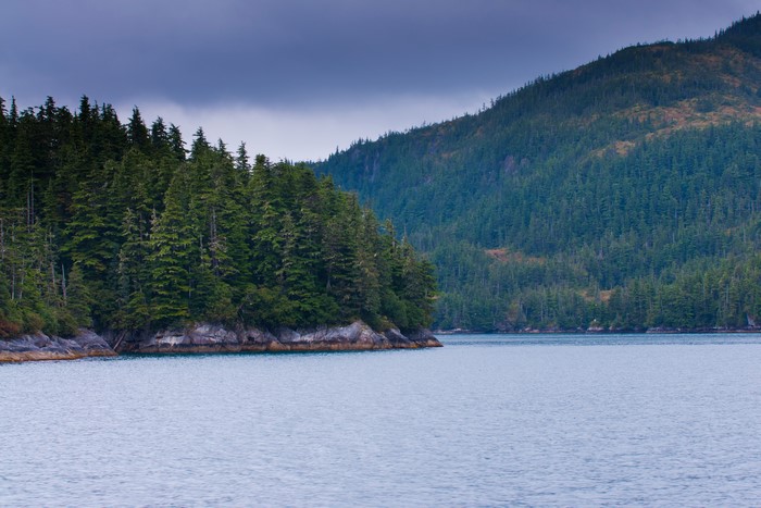 Forests and water in Alaska, USA