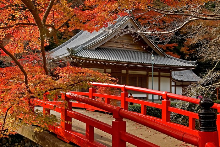 Red bridge and temple in Japan during autumn