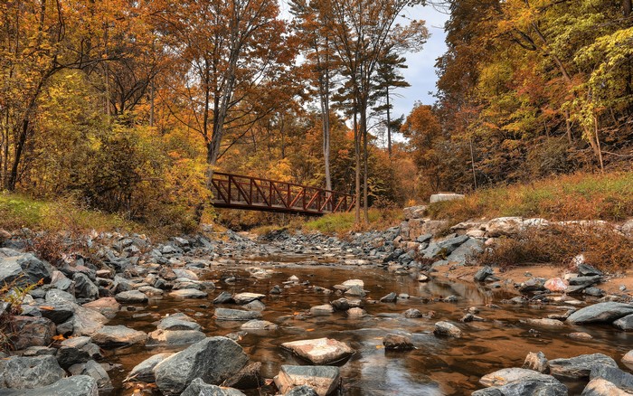 Bridge over Wilket Creek in autumn