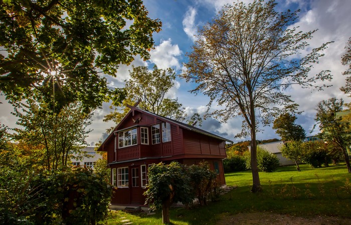 Wooden house surrounded by trees under a cloudy sky