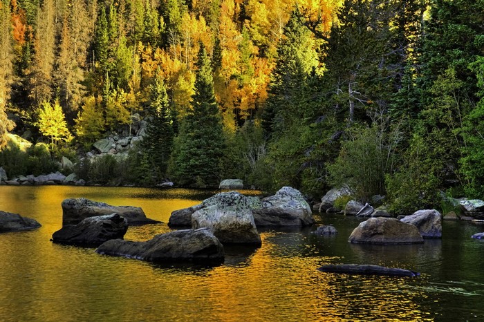 Rocky Mountain National Park Colorado Forest and Lake