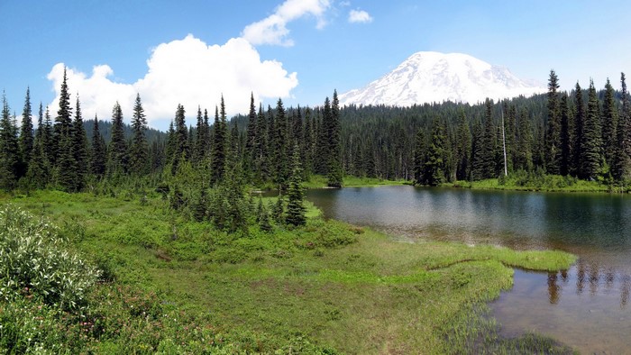 Mount Rainier National Park with Lake and Forest