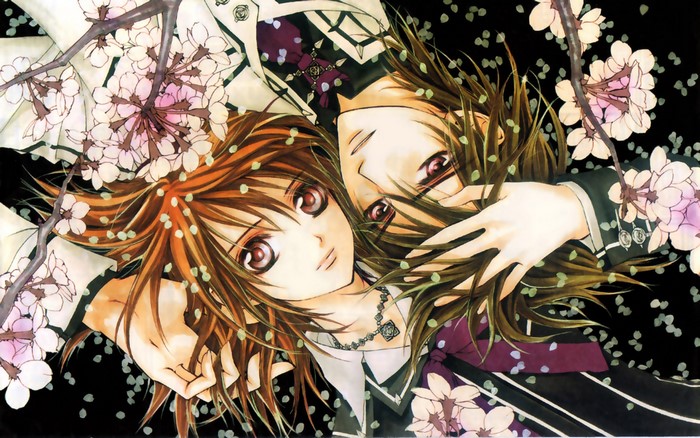 Zero Kiryu and Yuki Cross from Vampire Knight