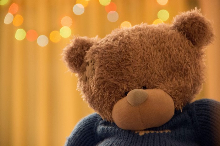 Teddy bear wearing a blue sweater