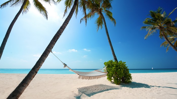 Hammock on a tropical beach with palm trees