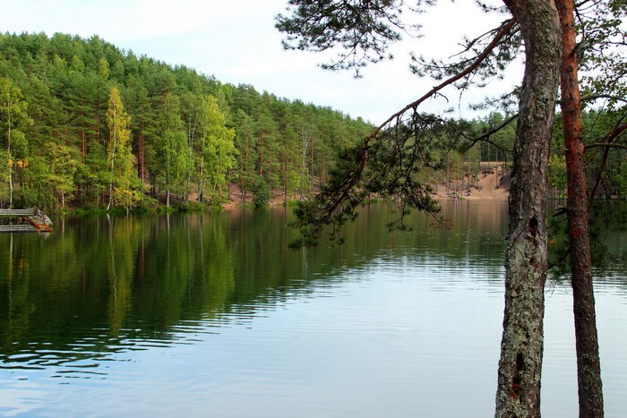 Lake and forest in Russia with tree trunks in foreground