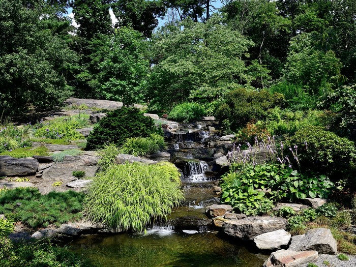 Waterfall and pond in a park with trees and rocks