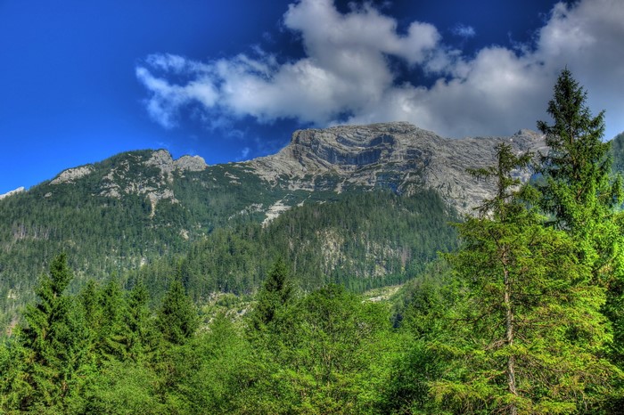 Mountains and forest in Bavaria, Germany