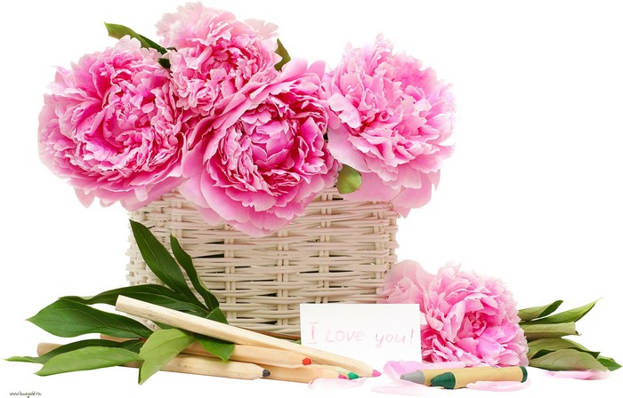 Pink Peonies in a Basket with Pencils and a Note