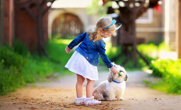 Little girl petting a dog