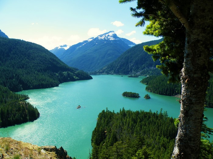 Diablo Lake, Washington, USA, Mountains, Tree Trunk