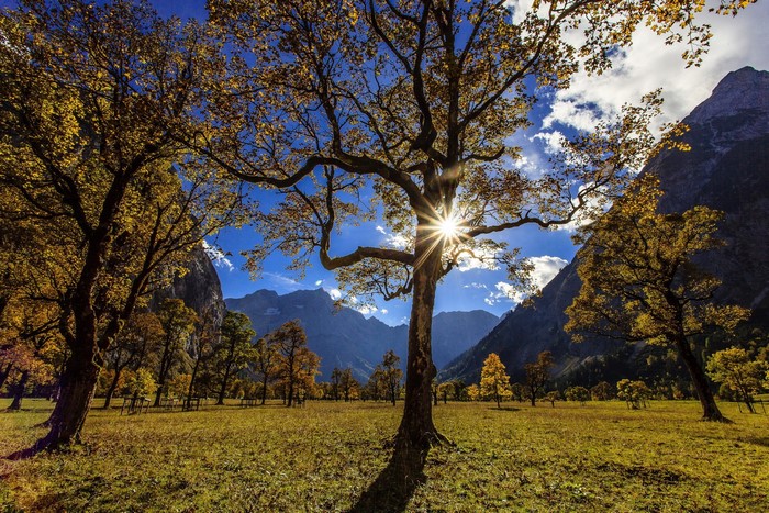 Autumn trees in a mountain valley with sun rays