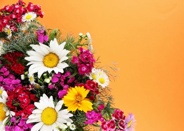 Bouquet of wildflowers with daisies and carnations