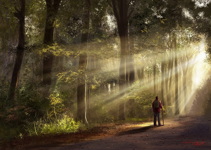 Person walking on a path in a sunlit forest