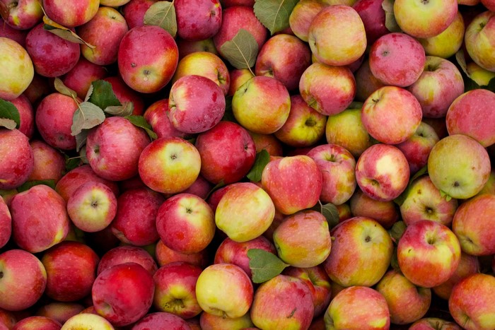 A pile of red and yellow apples