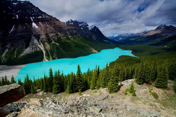 Peyto Lake in Banff National Park, Canada