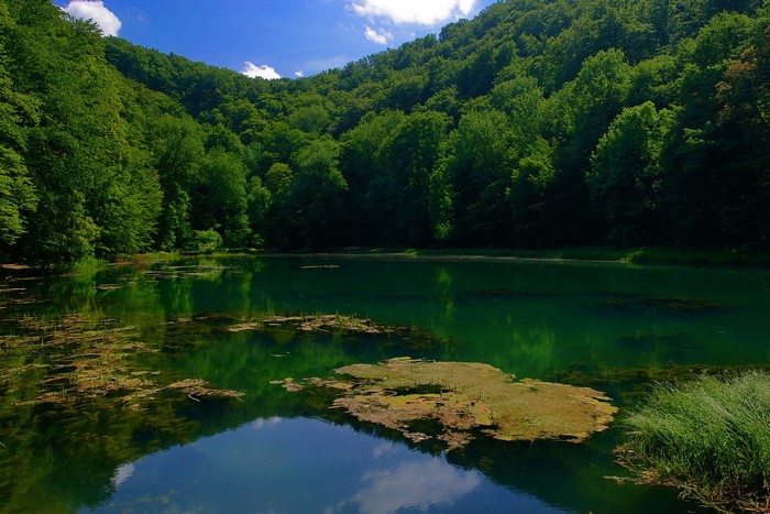 Lake in Janoshalma, Hungary