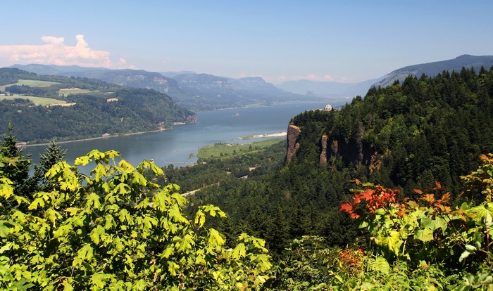 Columbia River Gorge with forested cliffs and mountains