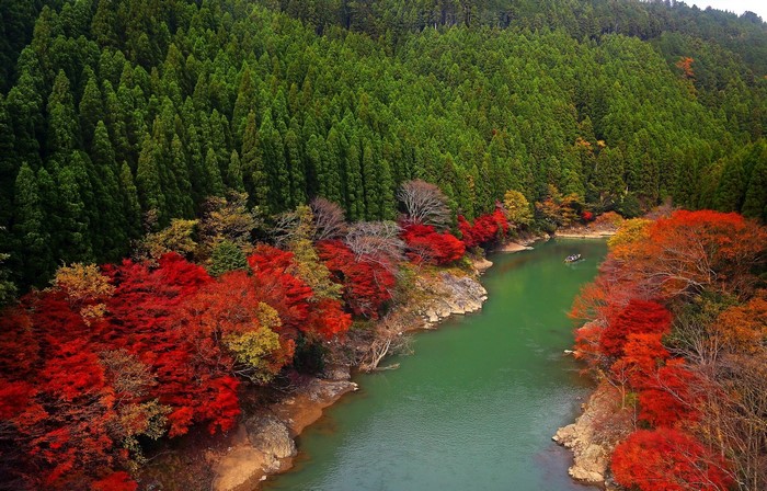 Arashiyama River and Autumn Forest in Kyoto