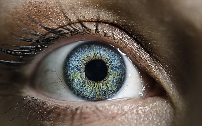 Extreme Close-up of a Blue and Green Human Eye