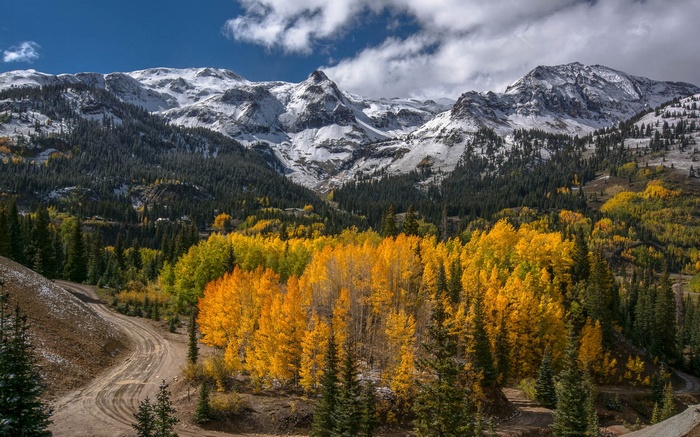 Snow-capped mountains and autumn trees with a dirt road