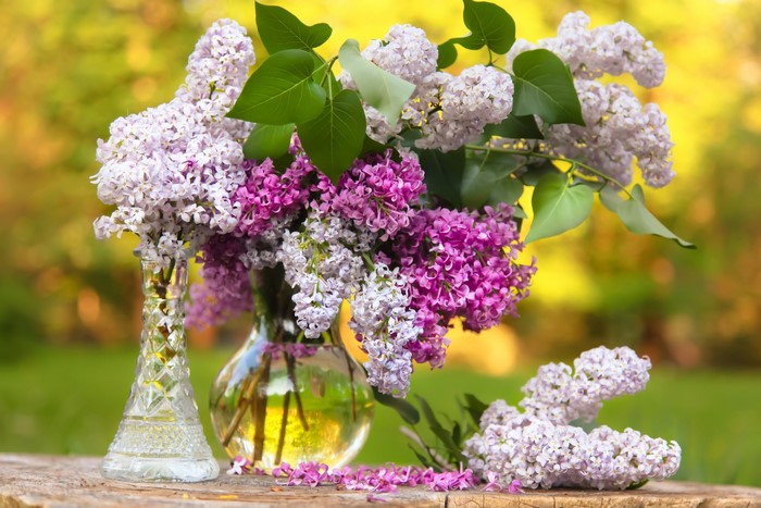 Bouquet of Lilacs in Vases on a Wooden Surface