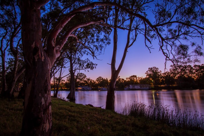 River at sunset with trees and boats in Mildura, Victoria