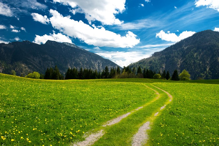 4K Mountains, Grasslands, and Road in Bavaria
