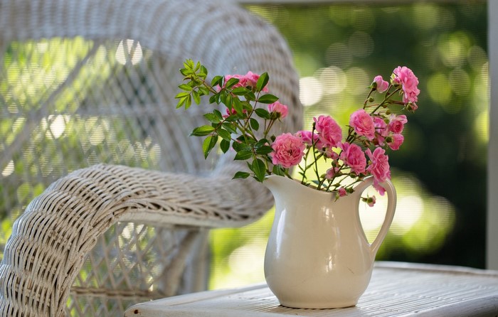 Pink roses in a white jug on a table
