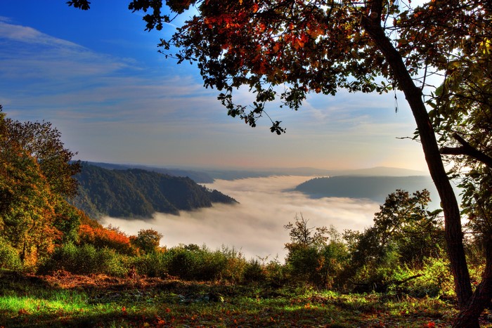 Foggy valley in Klotten, Germany during autumn