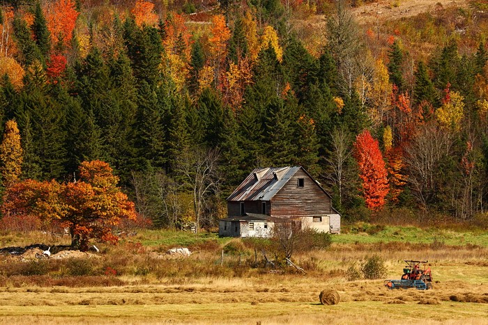 Barn in autumn forest with tractor in field
