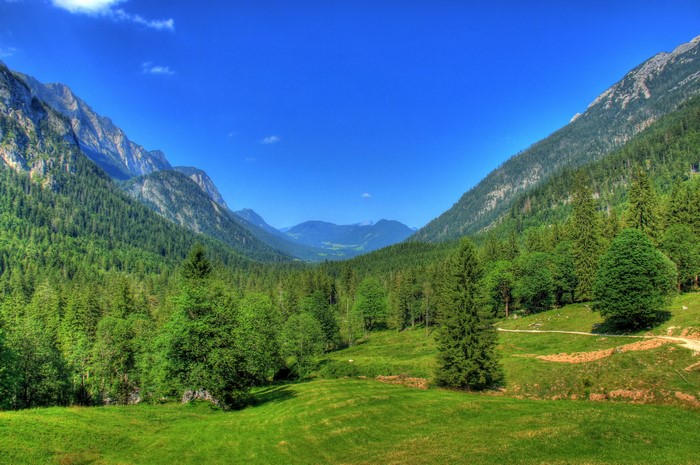 Mountain Valley with Forests and Green Fields in Bavaria, Germany