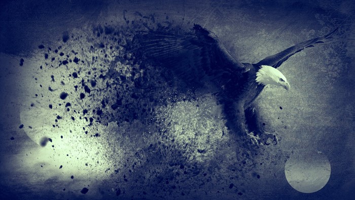 Bald eagle in flight with abstract disintegration effect