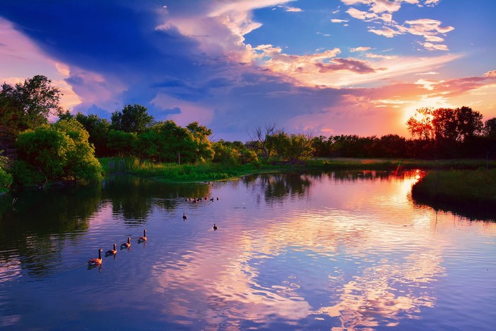 Geese swimming in a lake at sunset in Chisholm Creek, Kansas