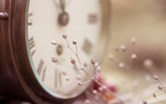 Close-up of a vintage clock face with dried flowers