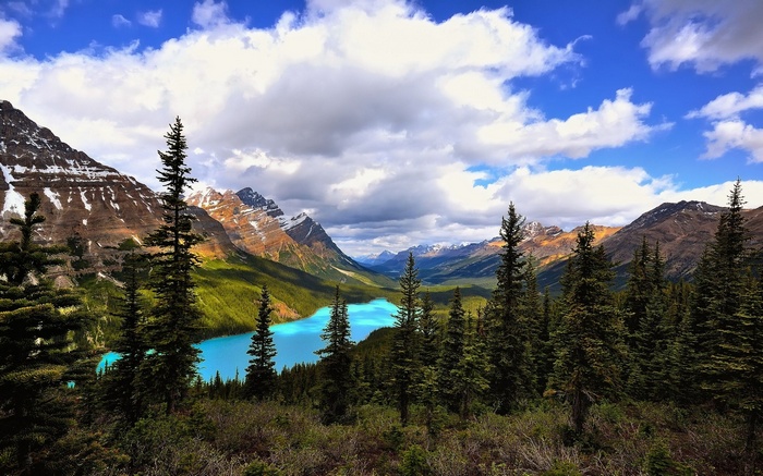 Turquoise lake and mountains with pine trees