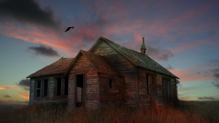 Abandoned wooden house at sunset with bird flying