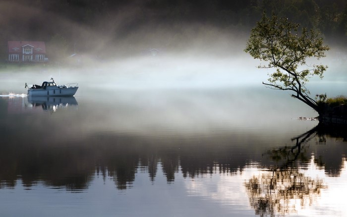 Motorboat on a foggy lake with a tree