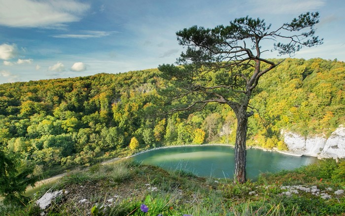 Lake in a forest in Bavaria, Germany