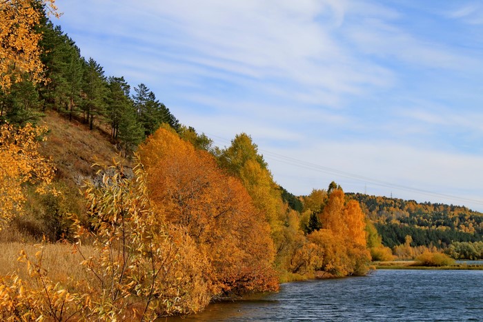 Autumn trees on a hillside by a lake