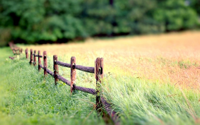 Wooden fence in a grassy field