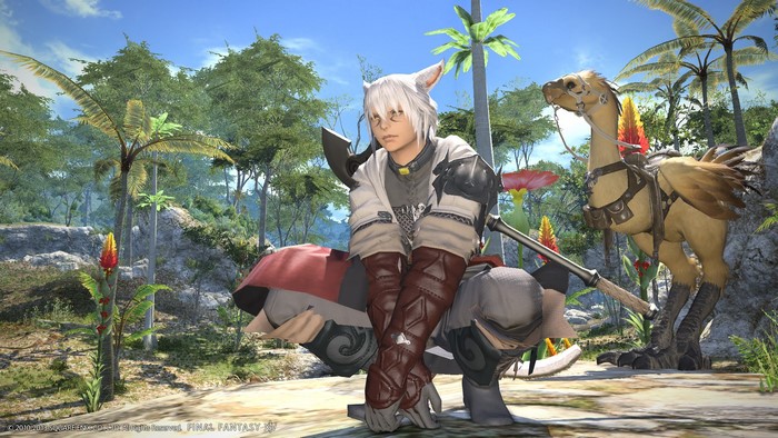 Miqo'te from Final Fantasy XIV with Chocobo