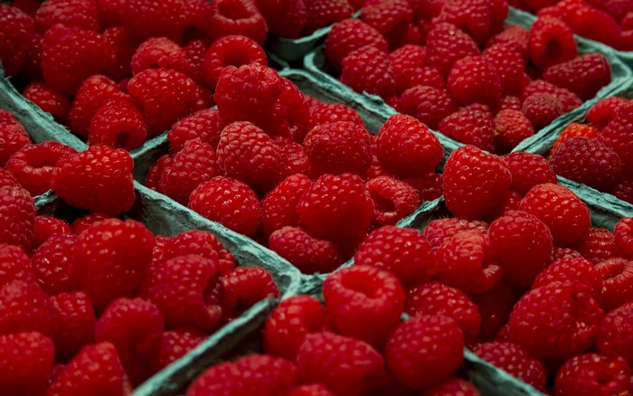 Close-up of many fresh raspberries in blue containers